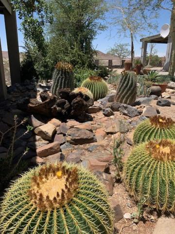 3 Aloes Guesthouse Uis Εξωτερικό φωτογραφία